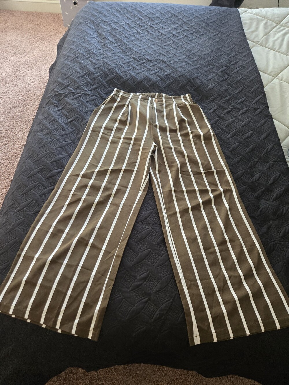 Striped Wide-Leg Pants in Brown/green and White